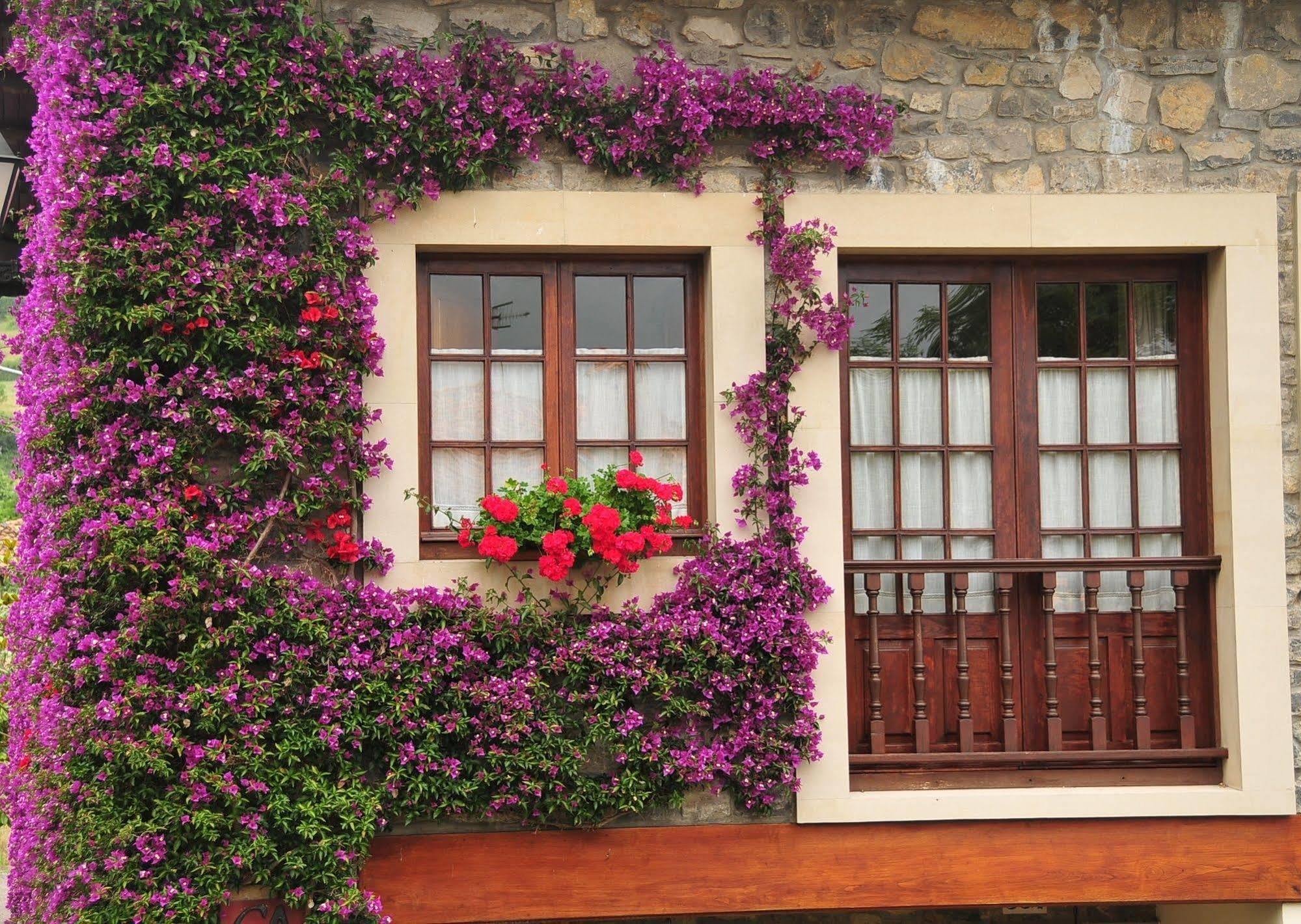 Casa Rural Llugaron I Casa de hóspedes Miravalles Exterior foto